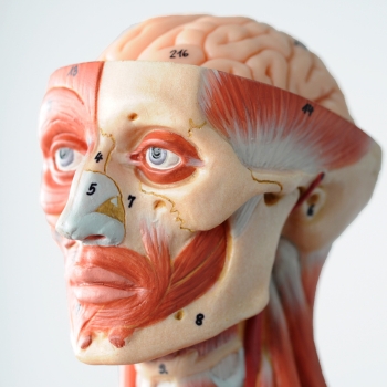 Injectables Interactive-online Week 1